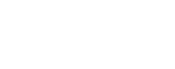 Slide-logo-skinident