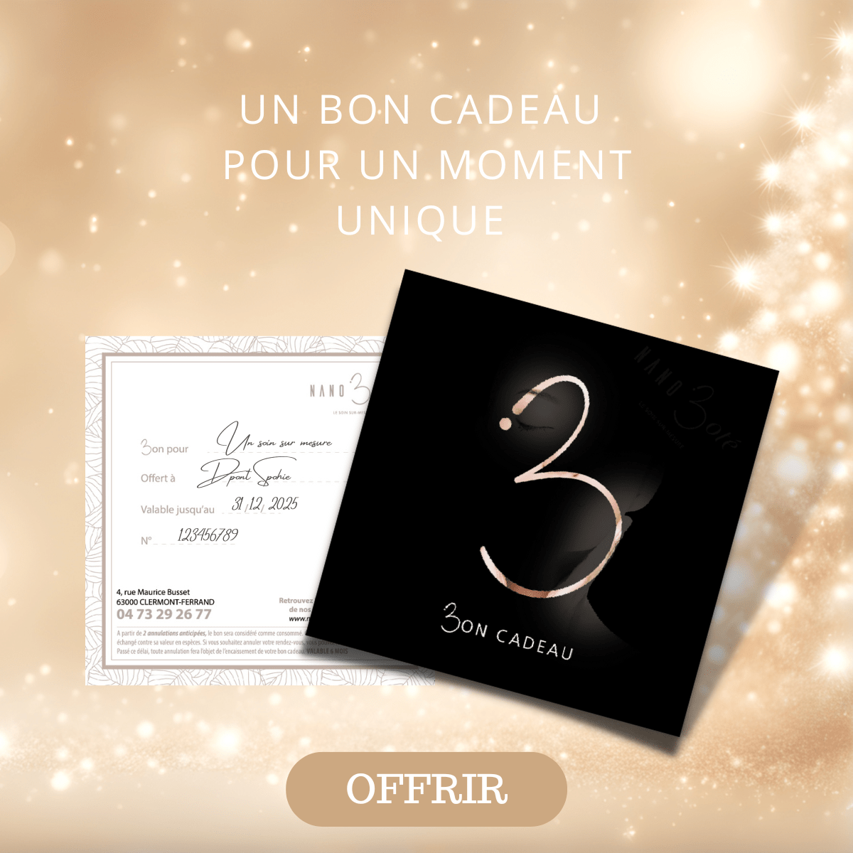 bon cadeau noel nano boté